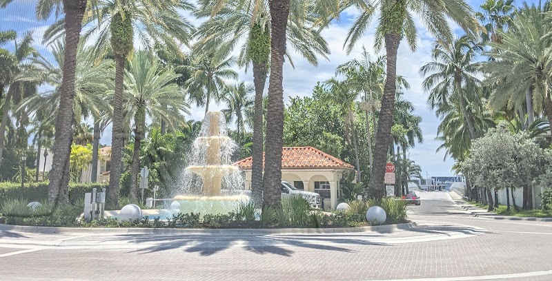 Palm Island Park photo 3