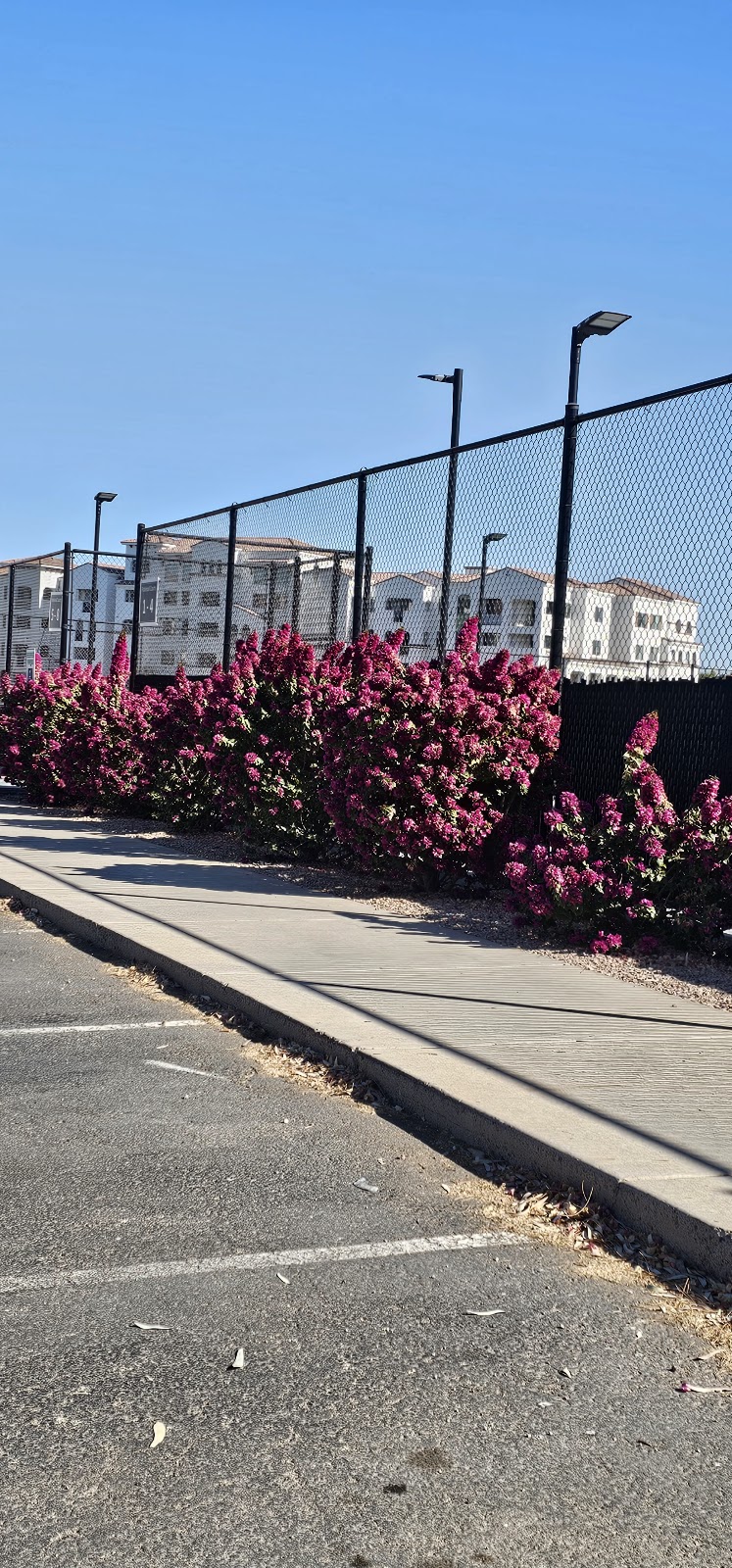 Ocotillo HOA Private Pickleball Courts photo 5