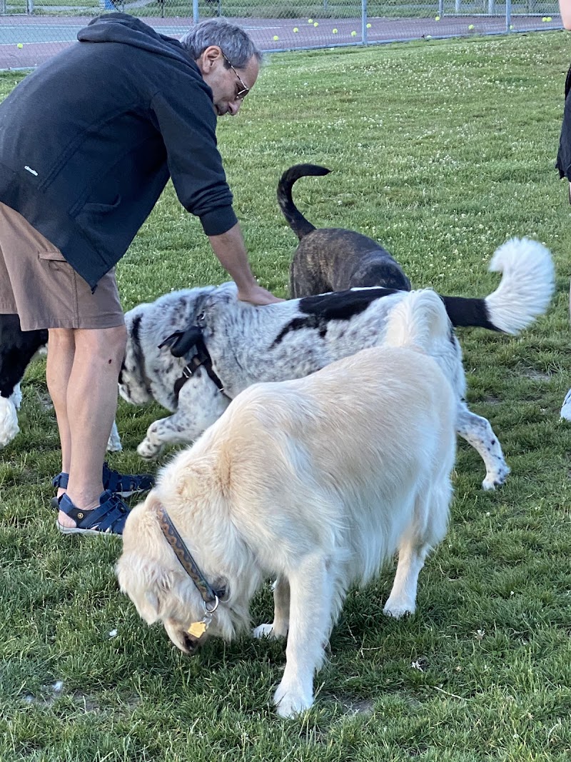 Gabriel Park - Tennis Courts photo 3