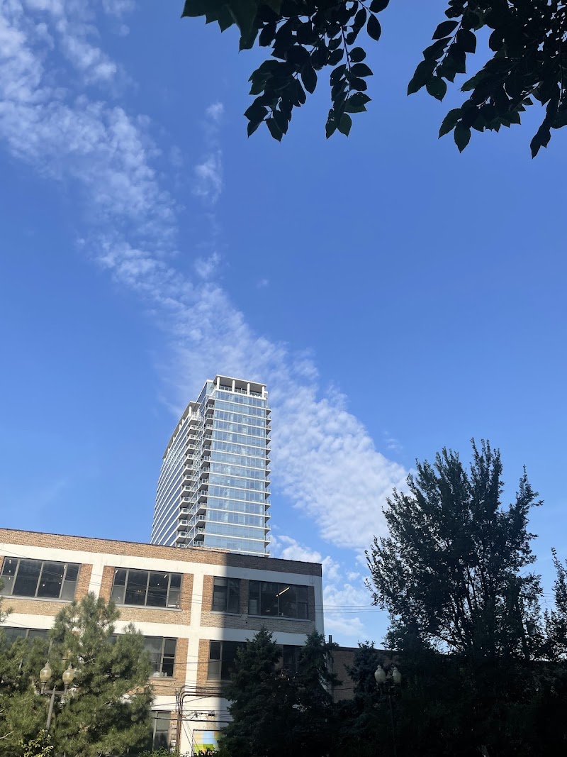 Chestnut Park photo 4