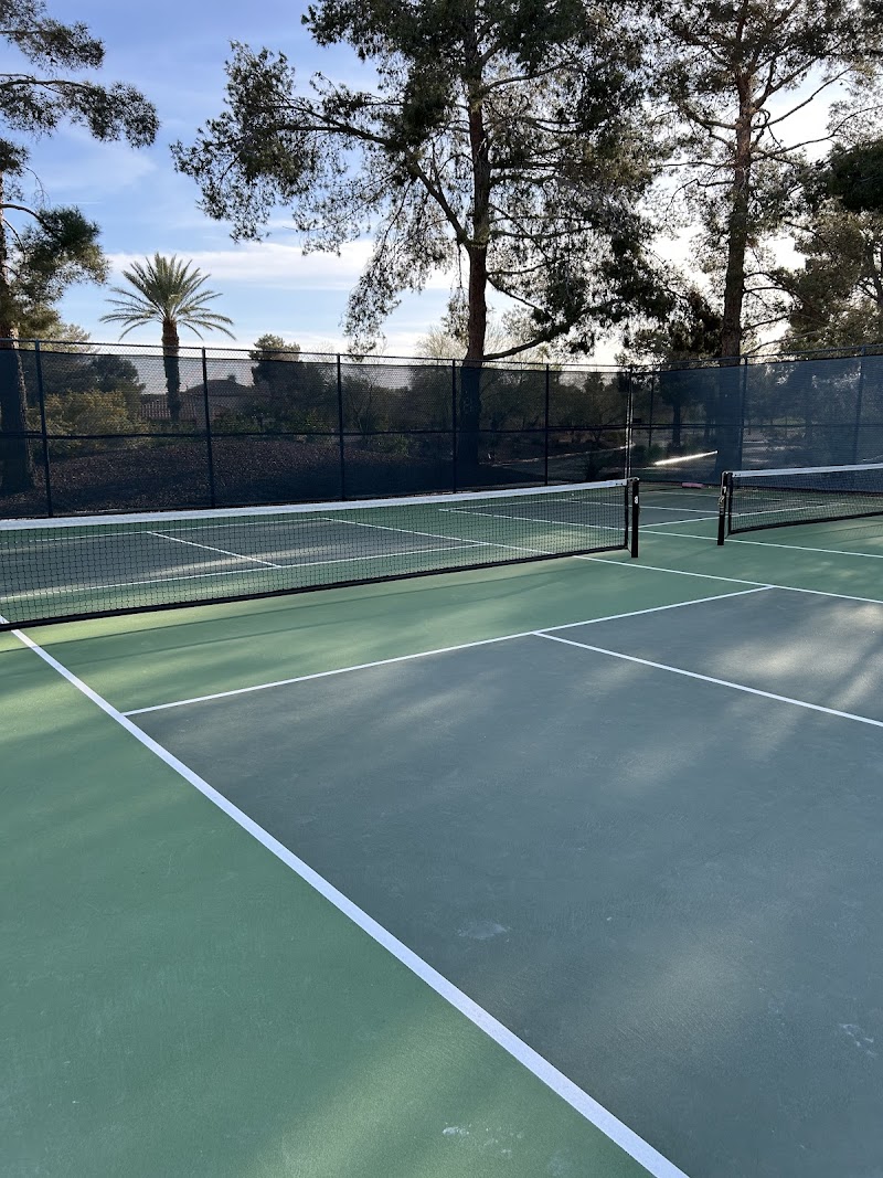 Painted Desert Pickleball Courts photo 4