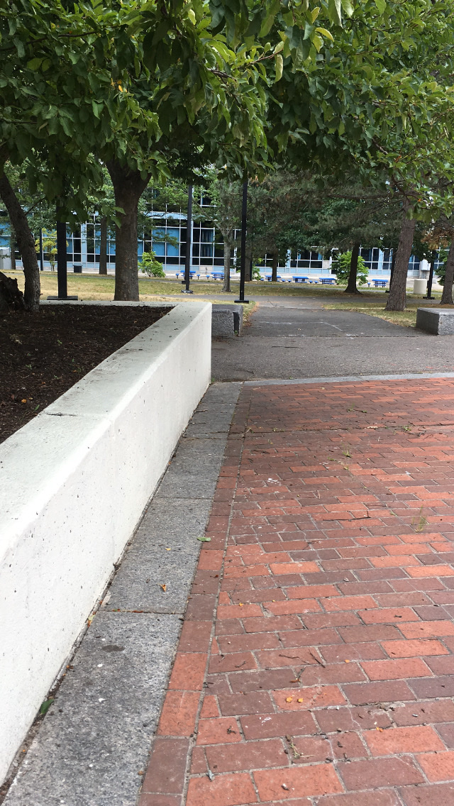 Southwest Corridor Park- Tennis Courts photo 3