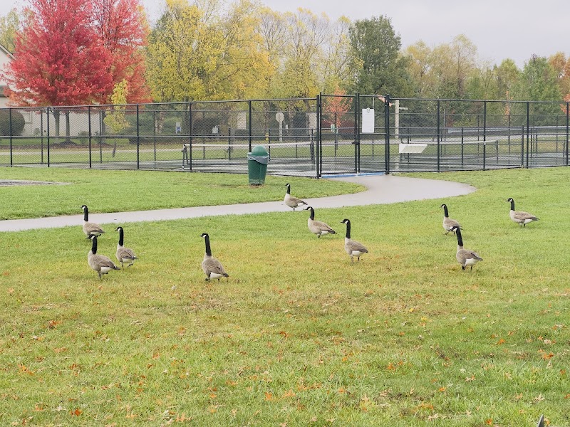 Center Green Park Pickleball courts photo 4