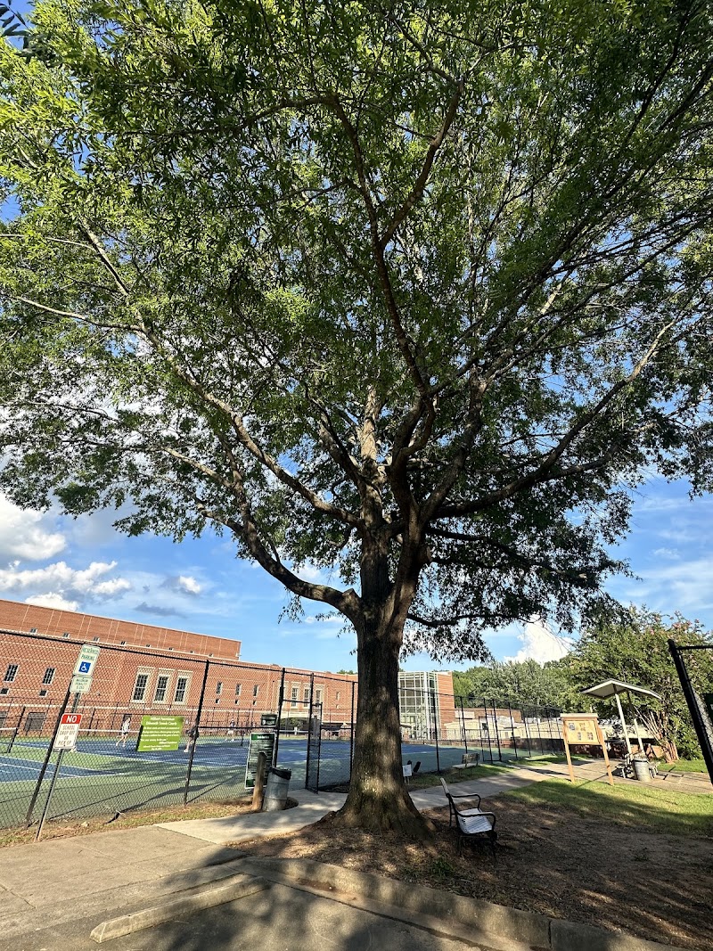 Latta Park Pickleball/Tennis Courts photo 4