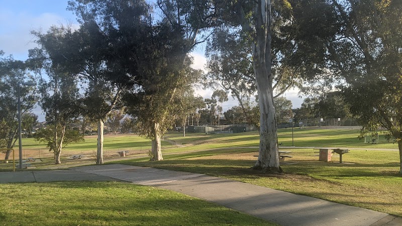 Mountain View Sports & Racquet photo 1