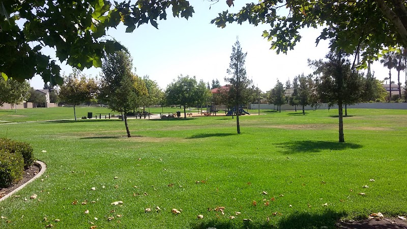 Sycamore Park photo 1