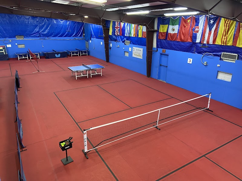 The Pickleball Court at San Antonio Table Tennis Club photo 4