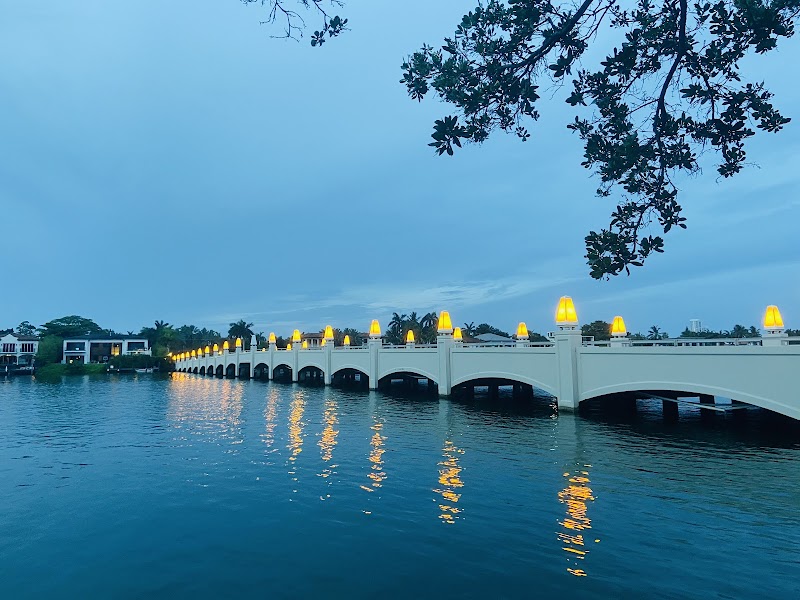 Palm Island Park photo 5