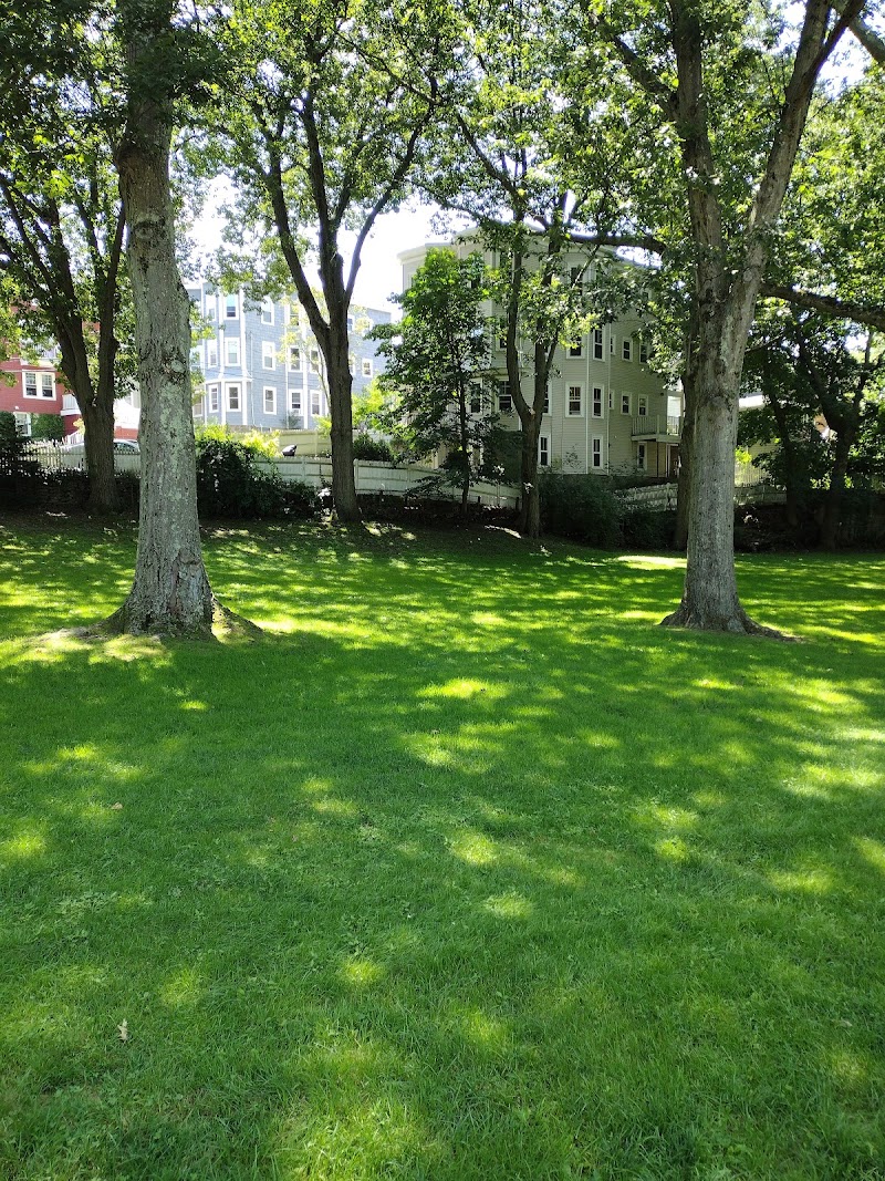 Little Field Park photo 5