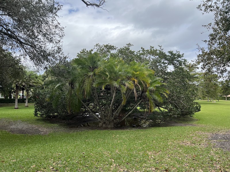 Coral Pine Park photo 5