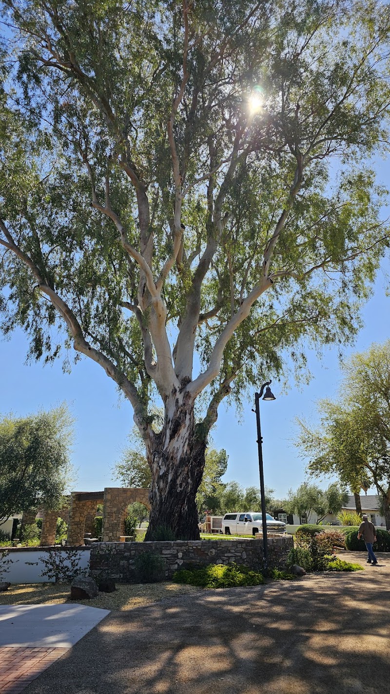 Fulton Ranch Basketball Court photo 5