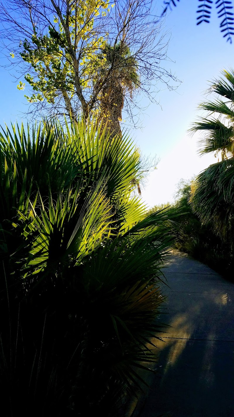 Indian Bend Park photo 4