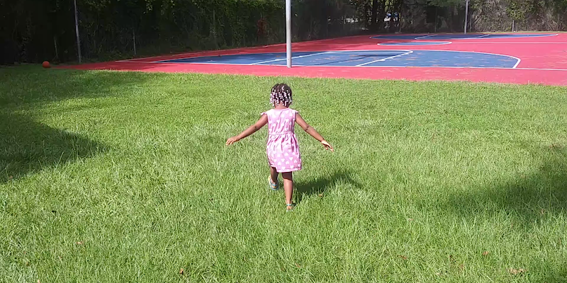 Charleston Recreation Department photo 2