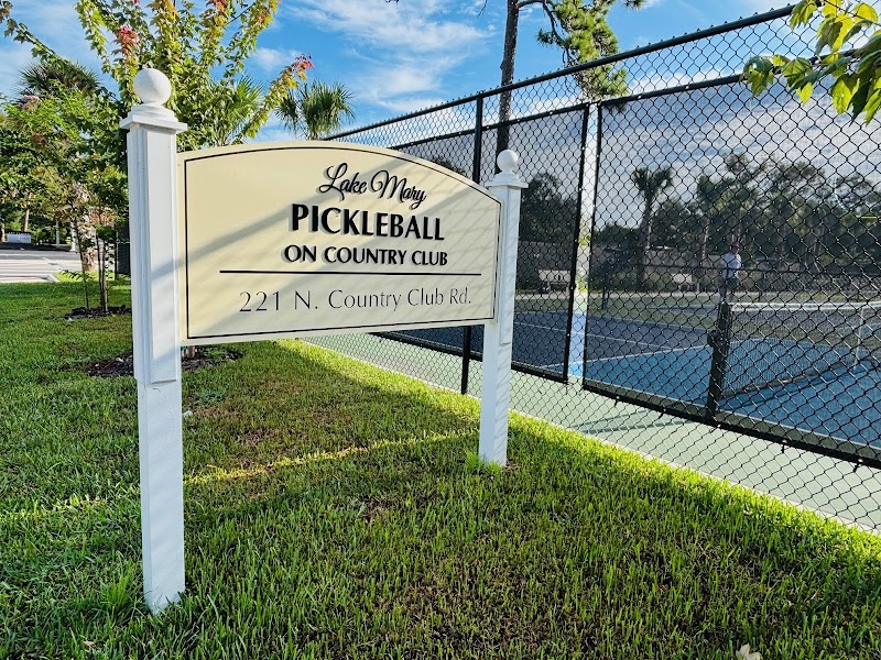 Pickleball on Country Club photo 3