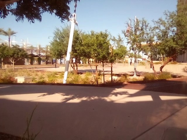 Plaza at Mesa City Center photo 5