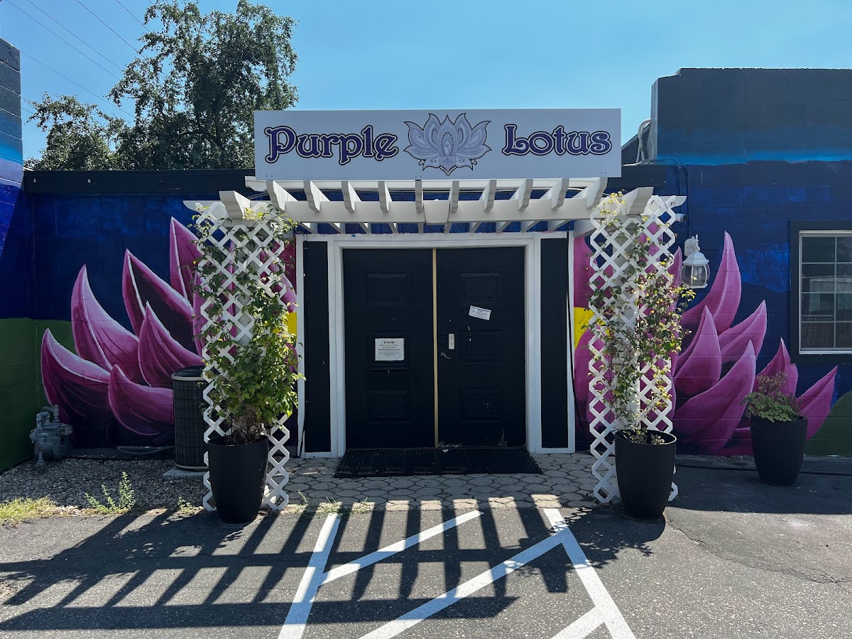 Purple Lotus 5