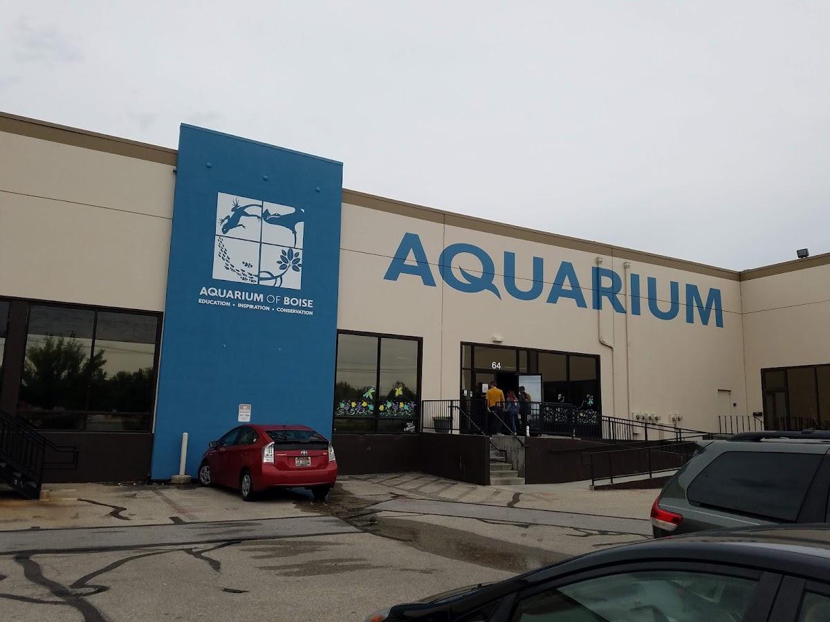 Aquarium Of Boise 1