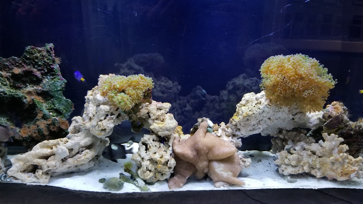 Aquarium Of Boise 3