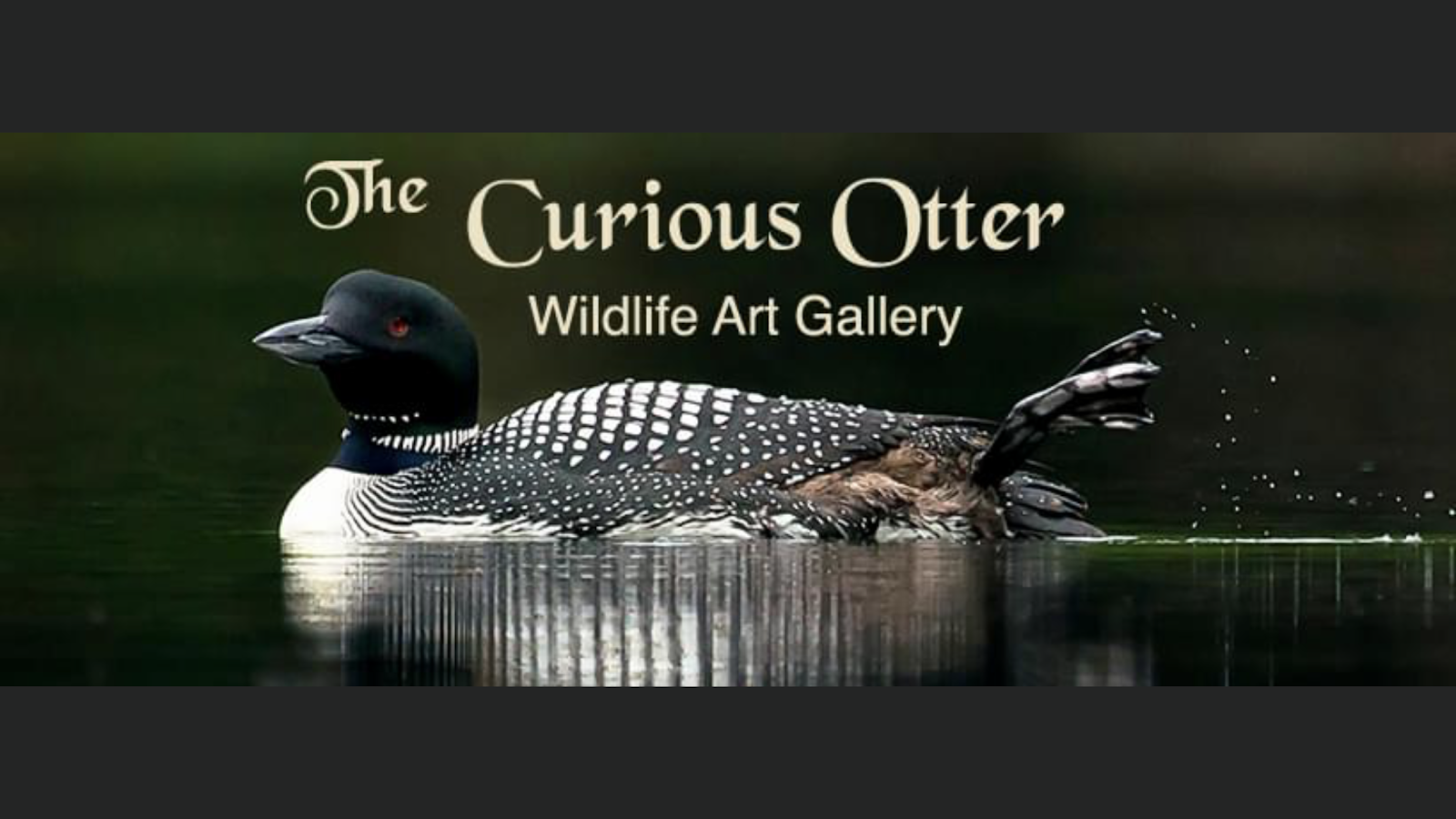 The Curious Otter