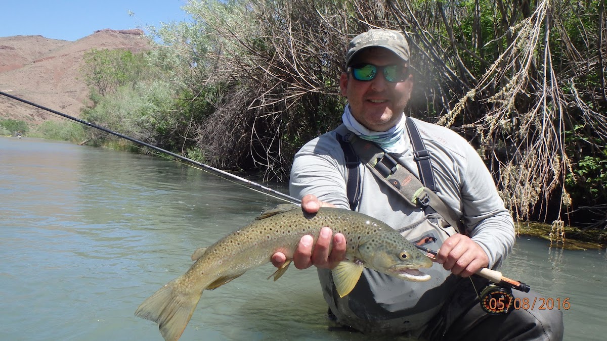 Idaho Angler 6