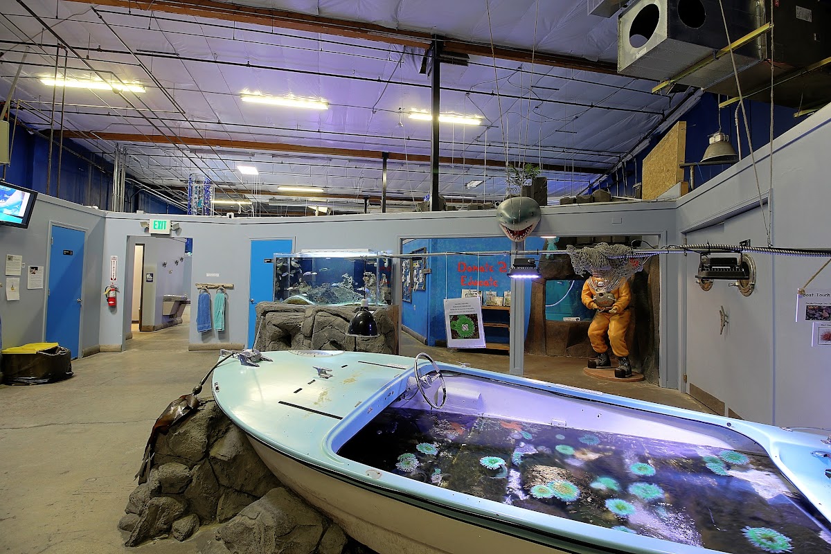 Aquarium Of Boise 9
