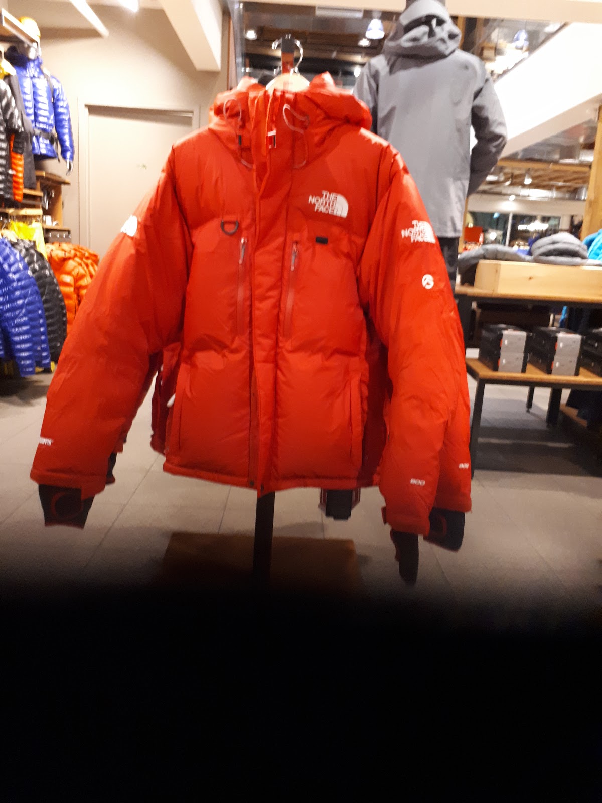 The North Face Boise 4