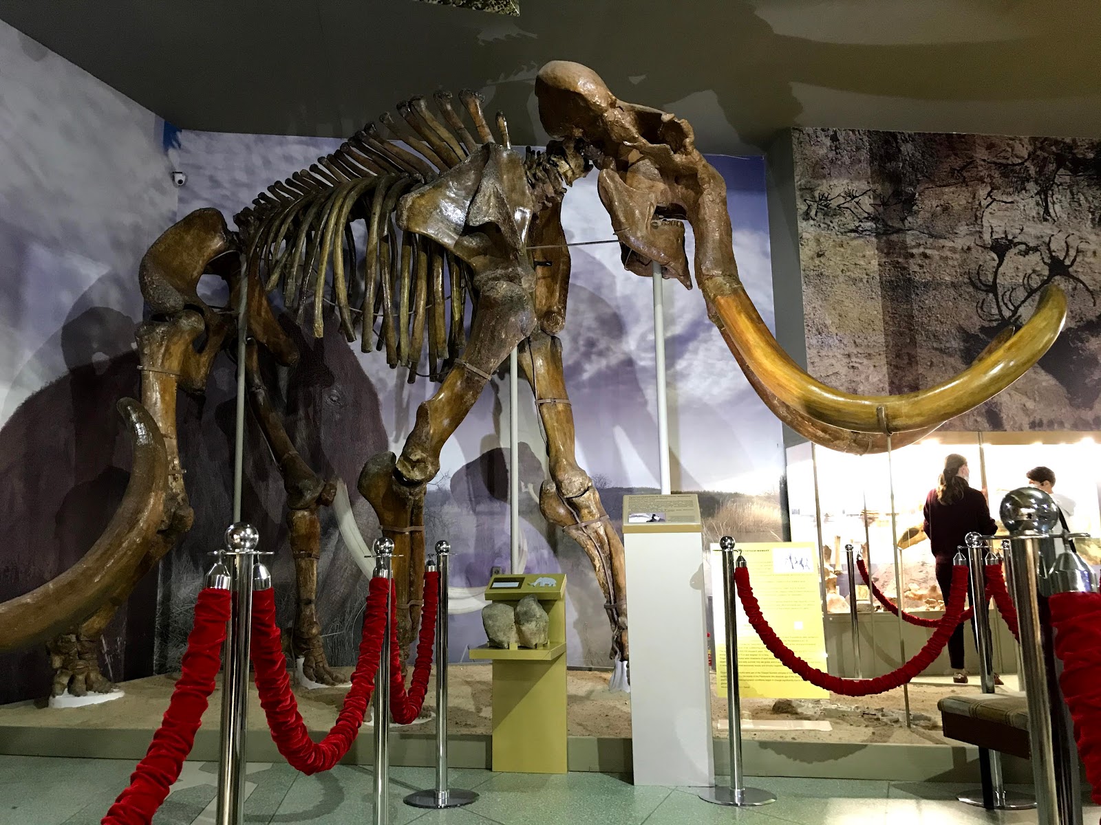 Azovskaya Historic-Archaeological and Paleontological Museum