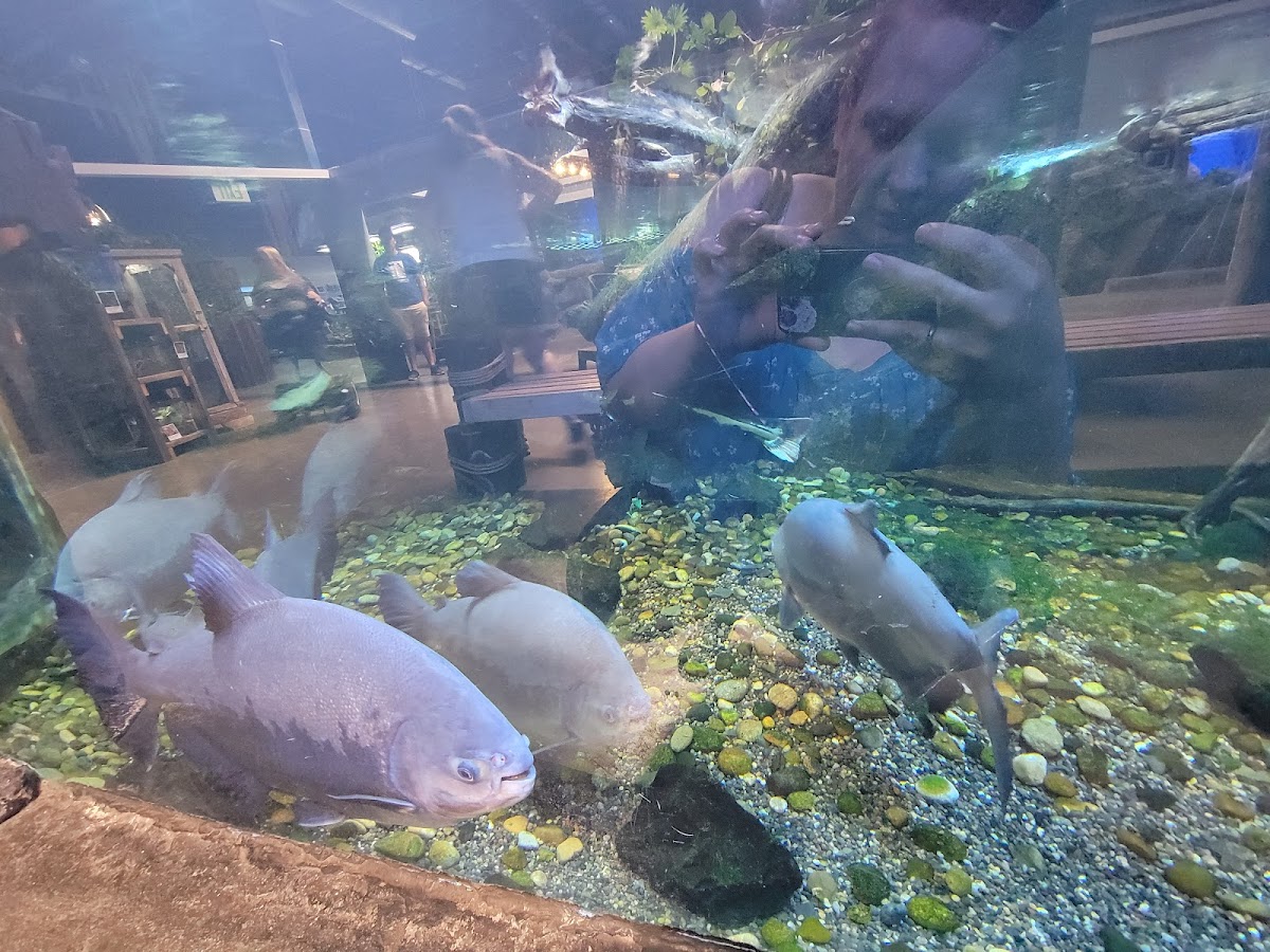 Aquarium Of Boise 5