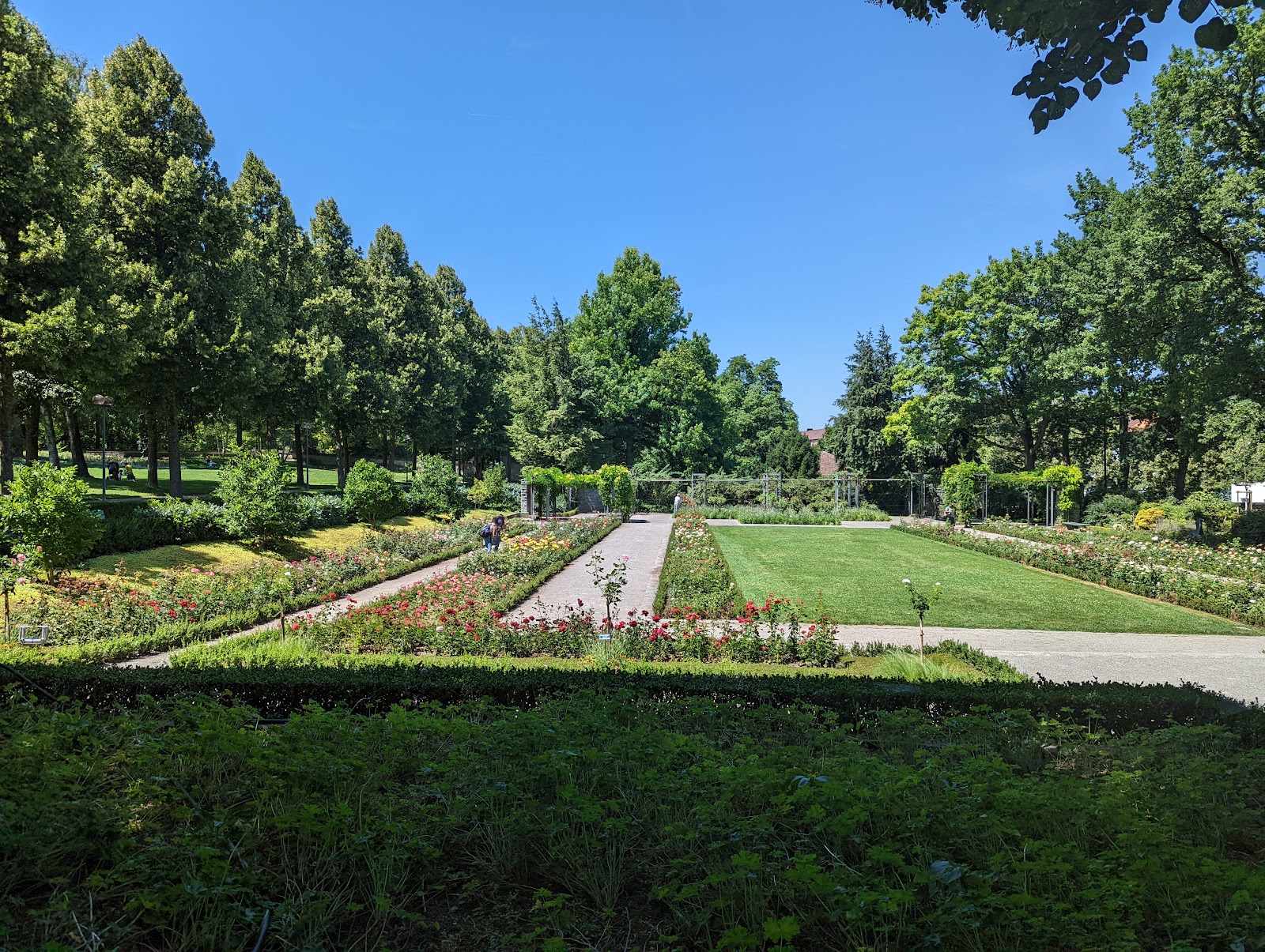 Bern Rose Garden