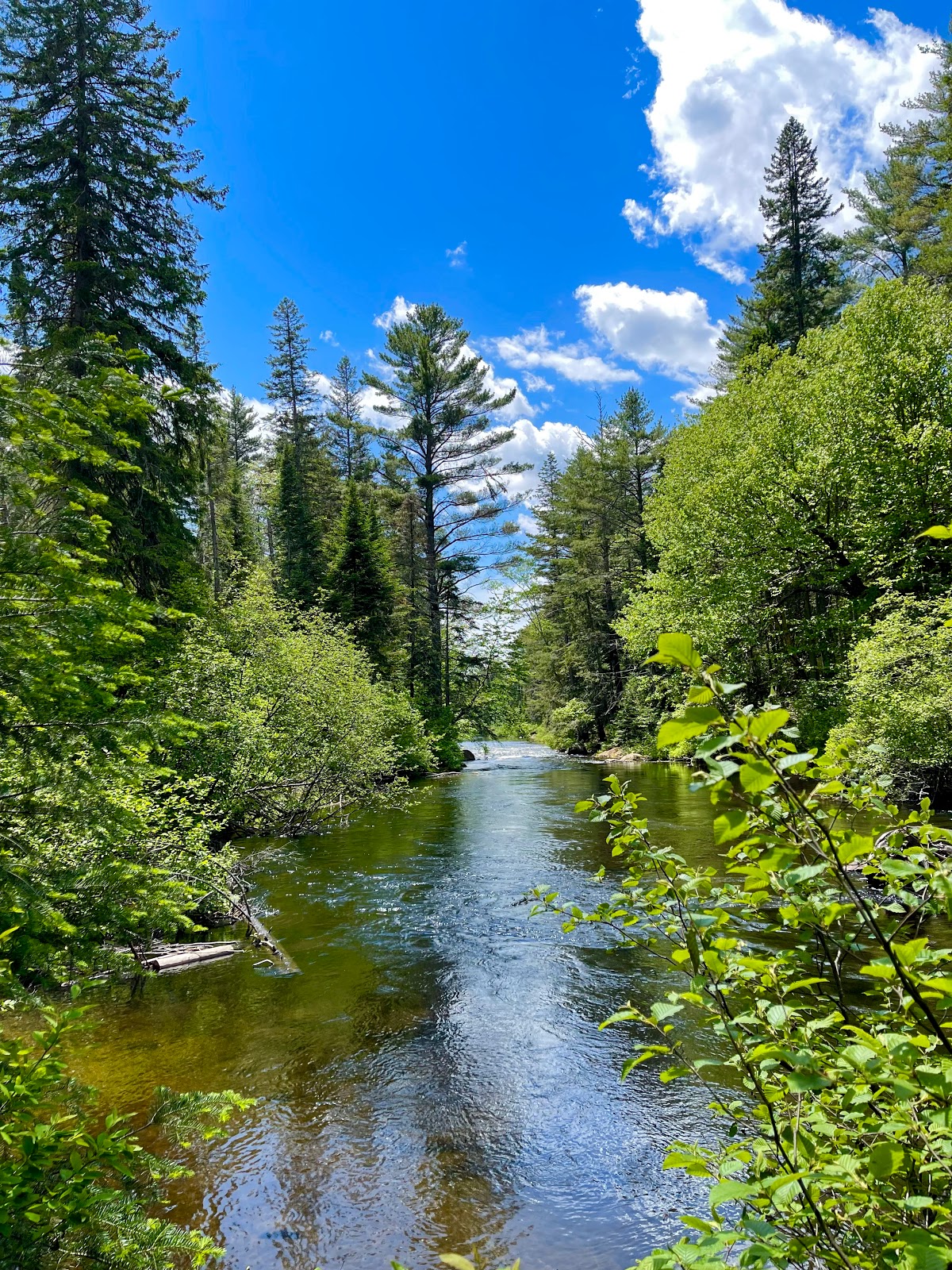 Whiskey Rapids Trail