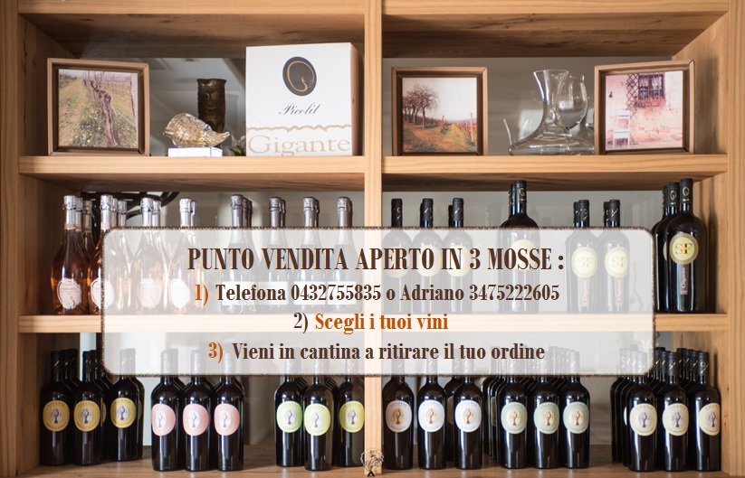 Gigante Wine & Welcome in Friuli