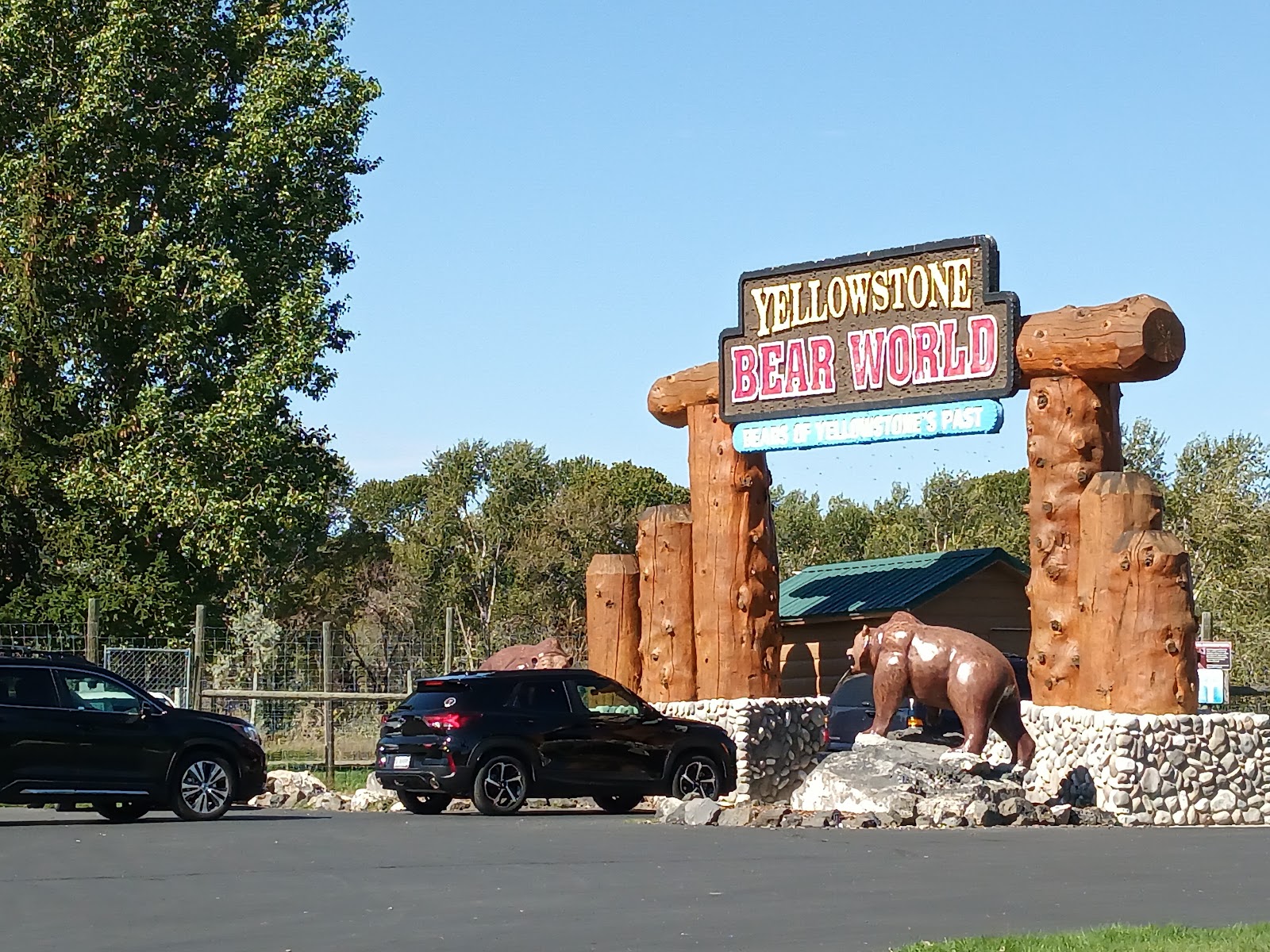 Yellowstone Bear World