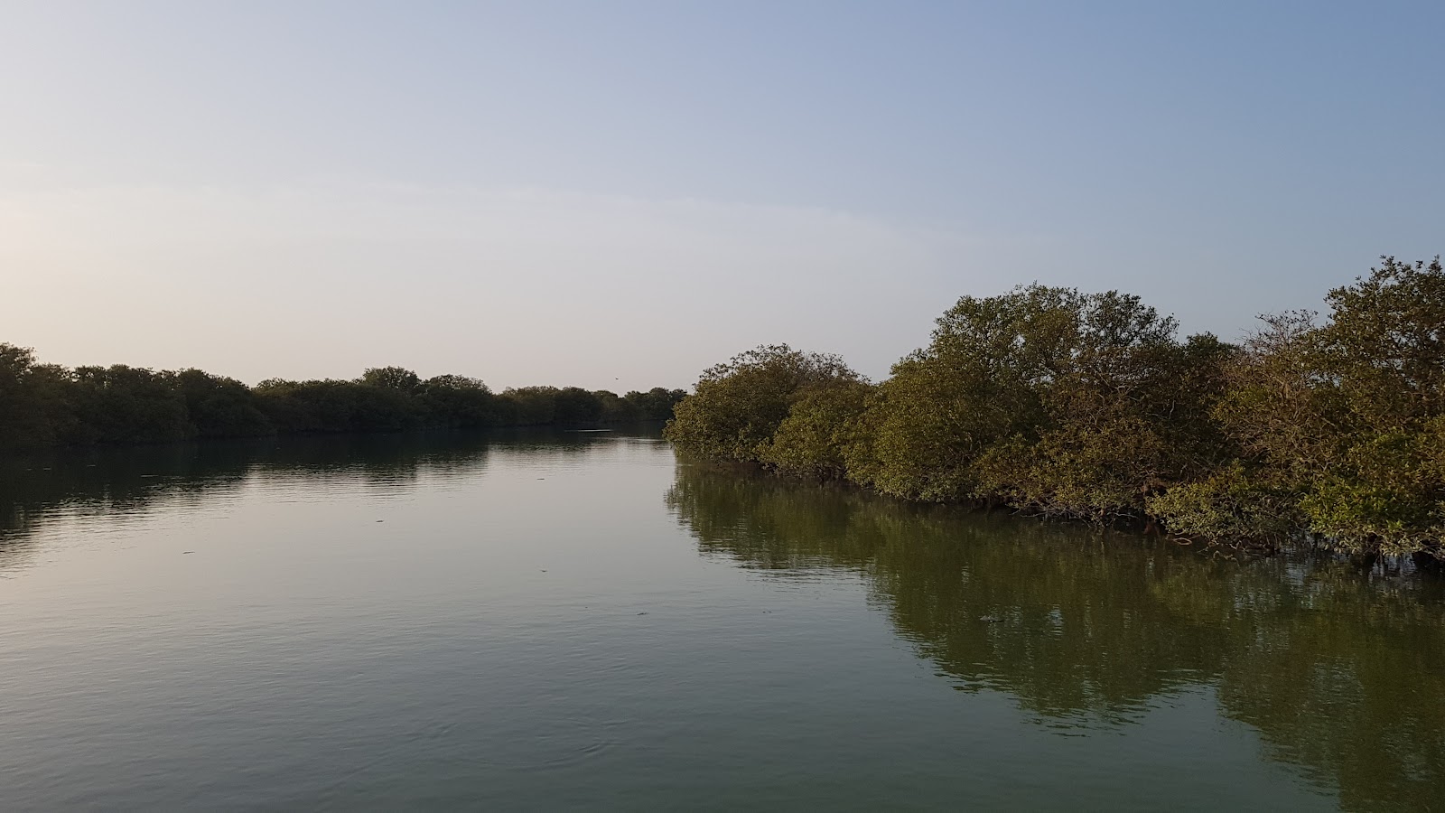 Mangrove Channel -Aquasports