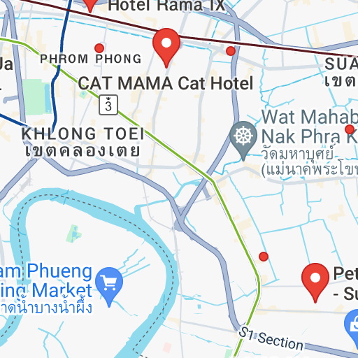 cat hotel bangkok