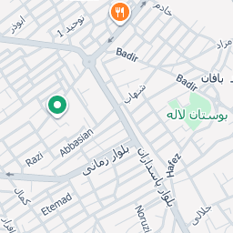 5 دانشمند نامدار ایرانی که حتما باید در عید به آنها سر زد(ابن سینا) 1